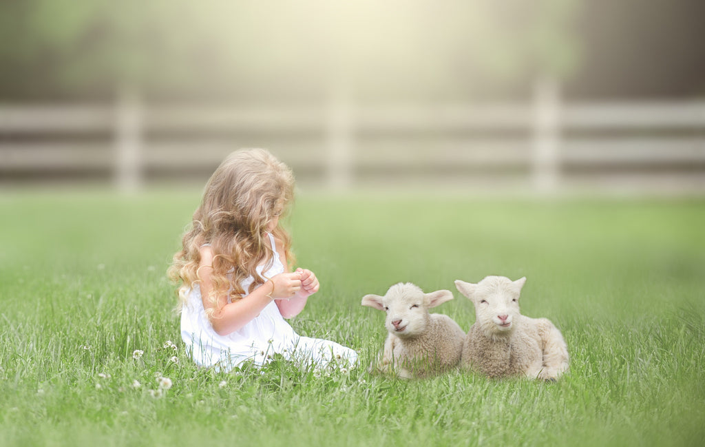ADD A CUTE LITTLE LAMB TO YOUR SPRING, EASTER PHOTOS
