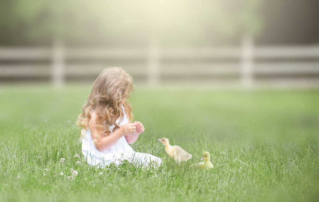 3 Reasons Why It’s Better To Use A Little Duck Animal Overlay Than To Raise The Ducks Yourself