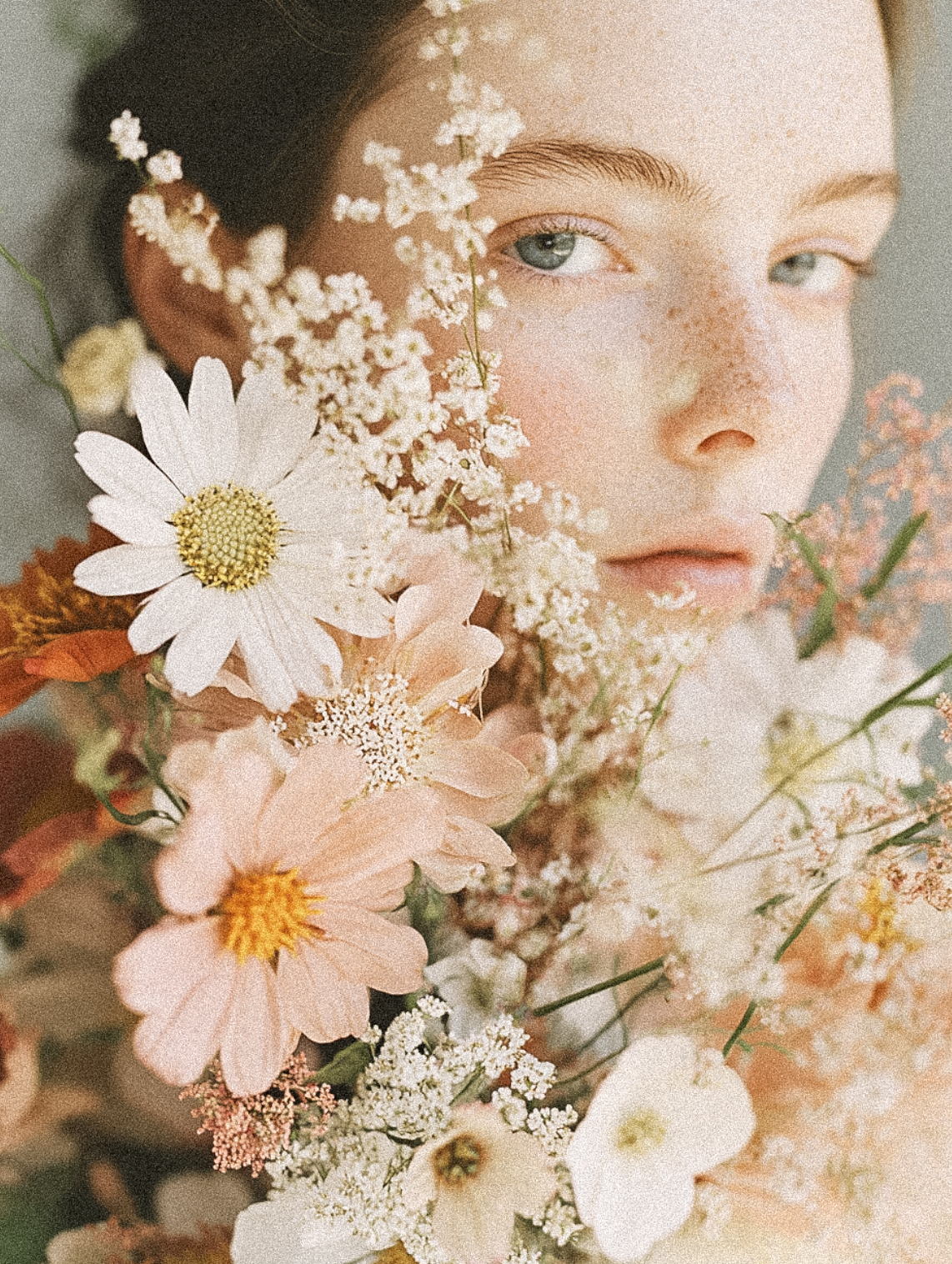 The Film Lightroom Desktop Presets